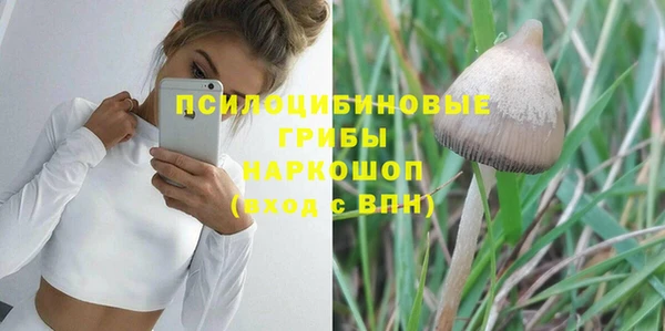 дмт Алзамай