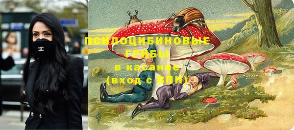 дмт Алзамай