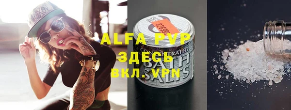 СК Алексин