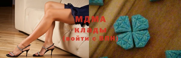 стаф Аркадак