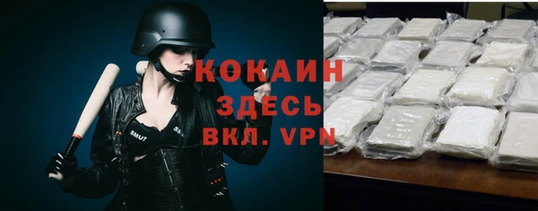 стаф Аркадак