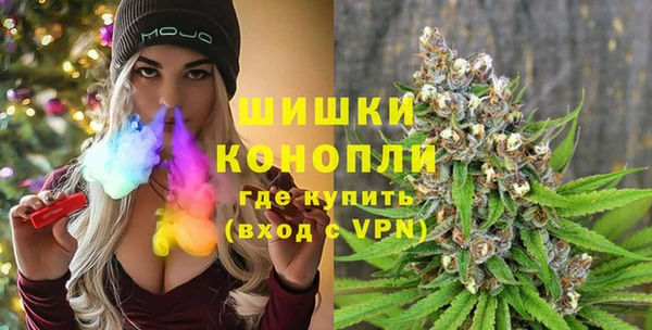стаф Аркадак