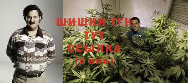 тгк Алексеевка