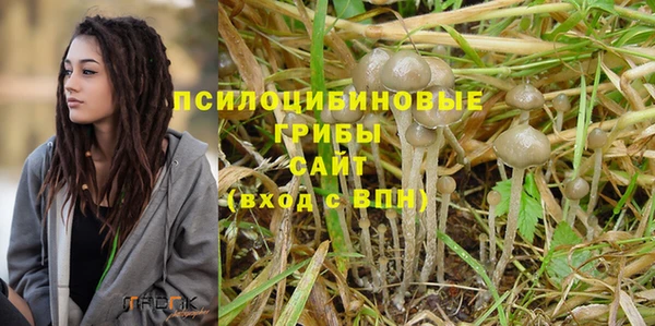 стаф Аркадак