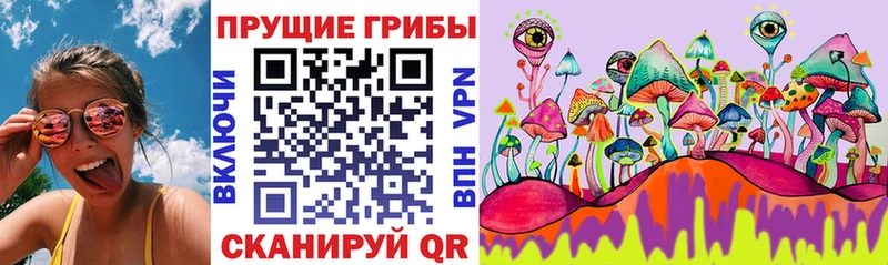 мега ссылка  нарко площадка формула  Новодвинск  Псилоцибиновые грибы Cubensis  как найти наркотики 