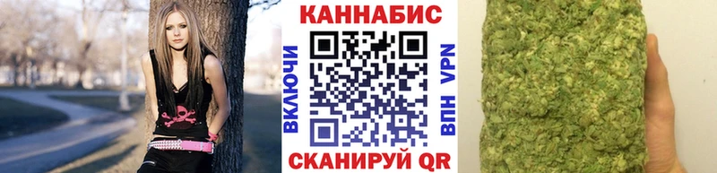 Шишки марихуана сатива  Новодвинск 